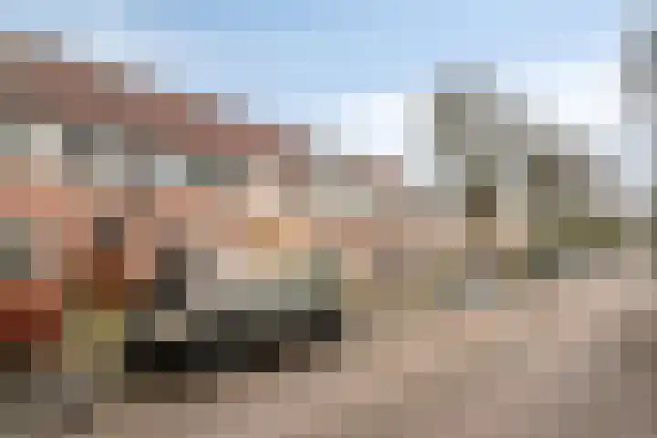 Pauwoog 100 Zeewolde thumbnail 6
