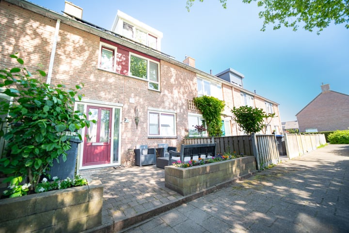 Pauwoog 11 in Hellevoetsluis Foto