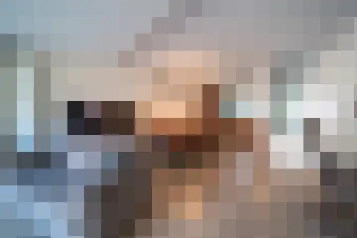 Pauwoog 11 Hellevoetsluis thumbnail 10