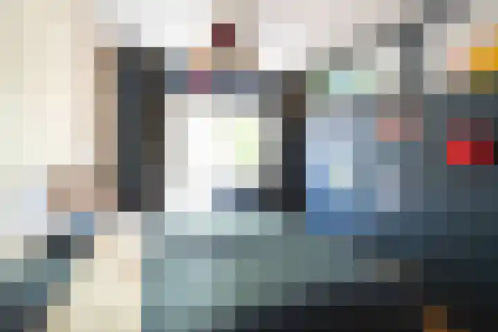Pauwoog 11 Hellevoetsluis thumbnail 28