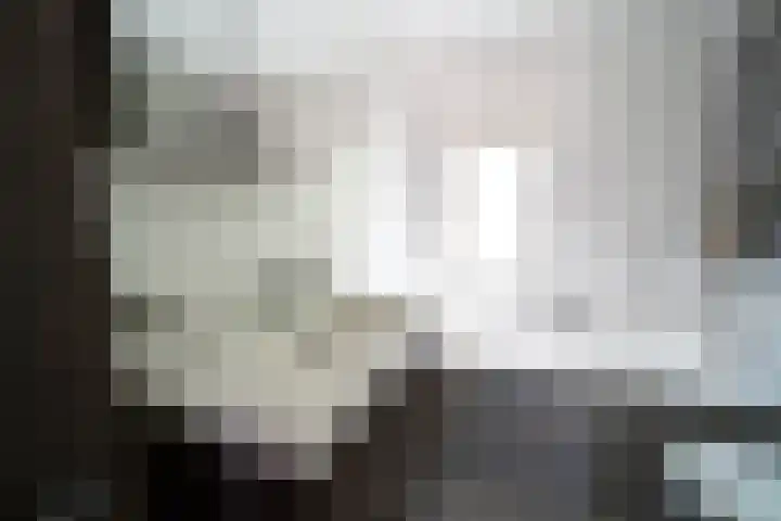 Pauwoog 11 Hellevoetsluis thumbnail 30