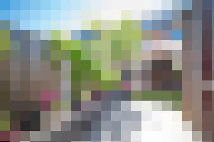 Pauwoog 11 Hellevoetsluis thumbnail 43