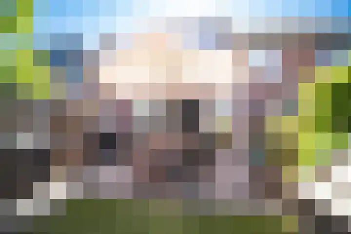 Pauwoog 11 Hellevoetsluis thumbnail 45