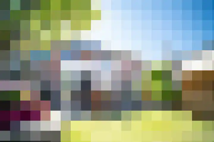 Pauwoog 11 Hellevoetsluis thumbnail 47