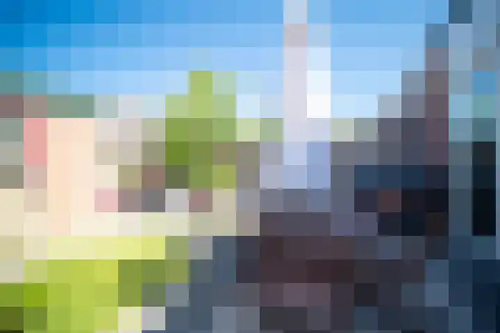 Pauwoog 11 Hellevoetsluis thumbnail 48