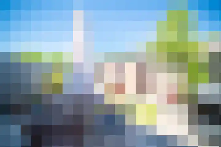 Pauwoog 11 Hellevoetsluis thumbnail 49