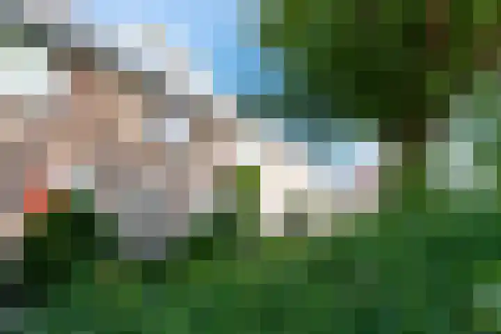 Pauwoog 11 Hellevoetsluis thumbnail 51