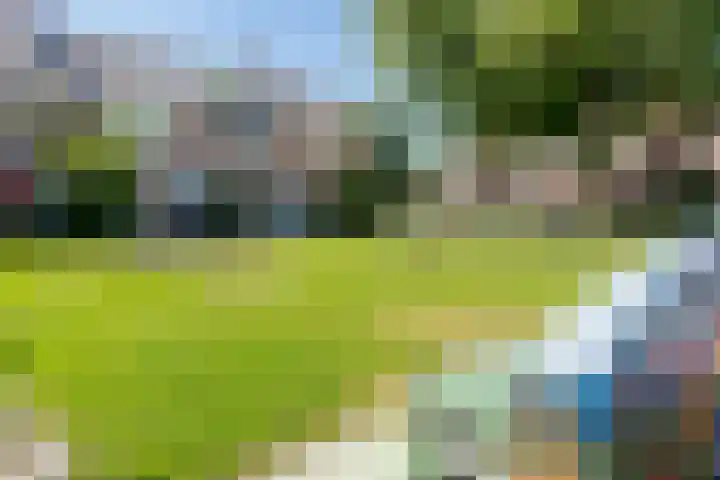 Pauwoog 11 Hellevoetsluis thumbnail 54