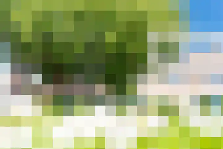 Pauwoog 11 Hellevoetsluis thumbnail 56