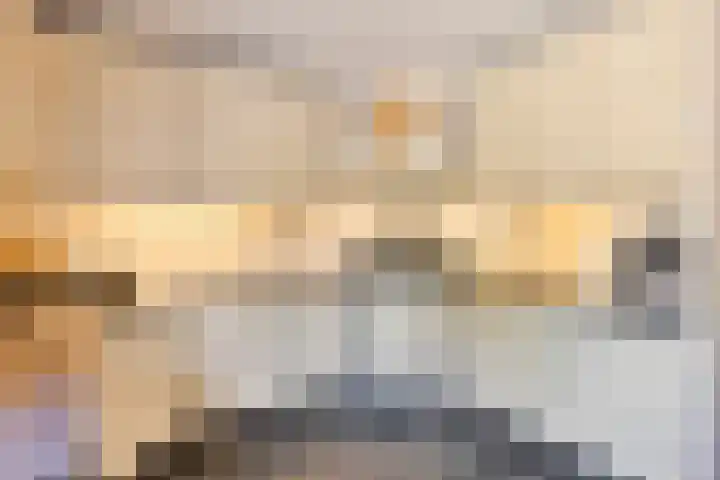 Pauwoog 16 Oss thumbnail 10