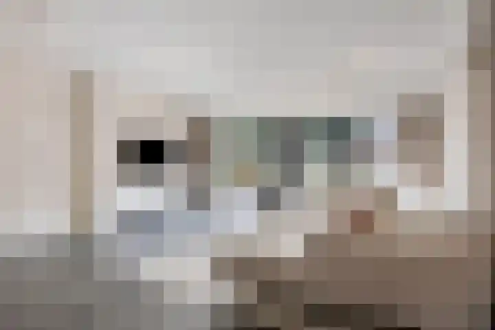 Pauwoog 16 Oss thumbnail 14