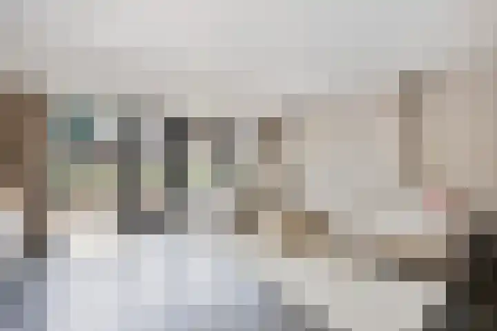 Pauwoog 16 Oss thumbnail 15
