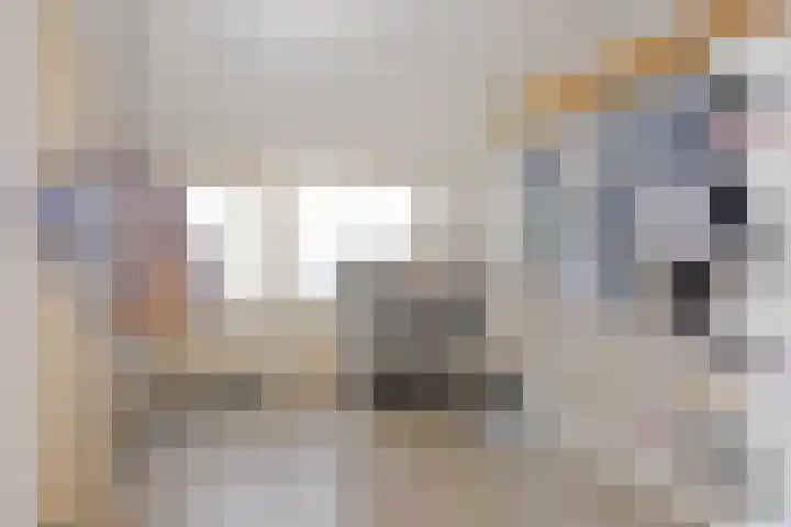 Pauwoog 16 Oss thumbnail 18