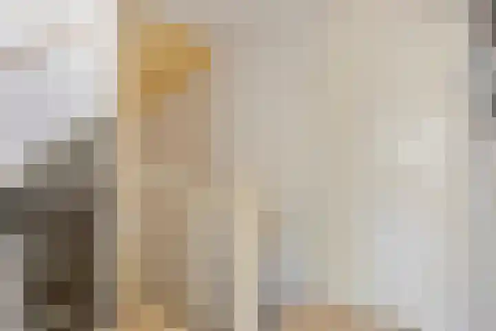Pauwoog 16 Oss thumbnail 19