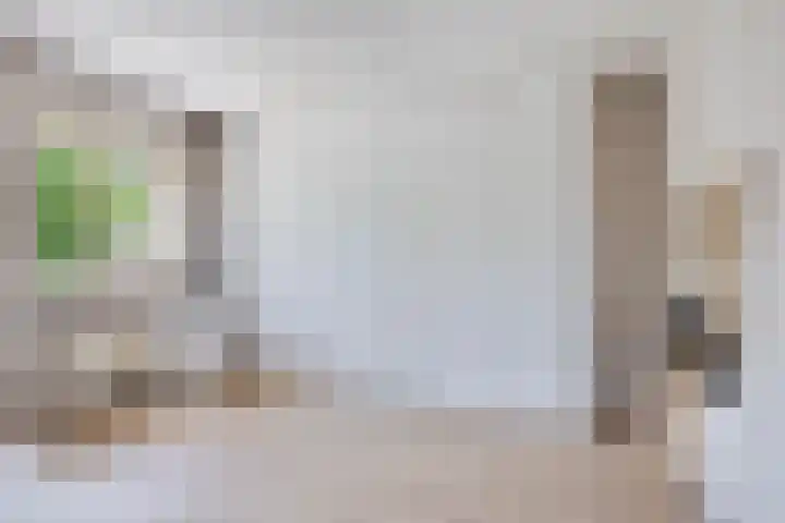 Pauwoog 16 Oss thumbnail 21