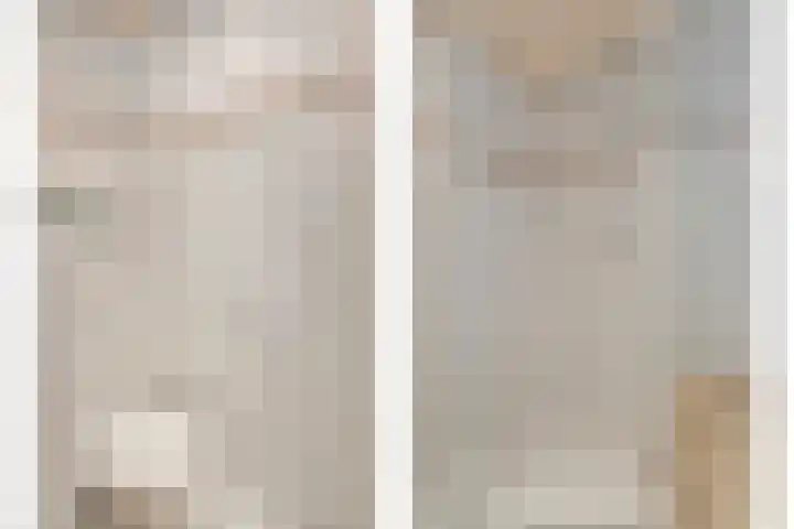 Pauwoog 16 Oss thumbnail 23