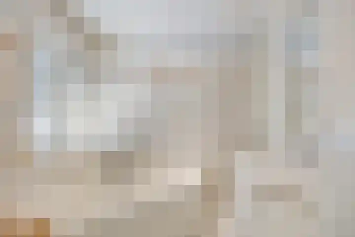 Pauwoog 16 Oss thumbnail 24
