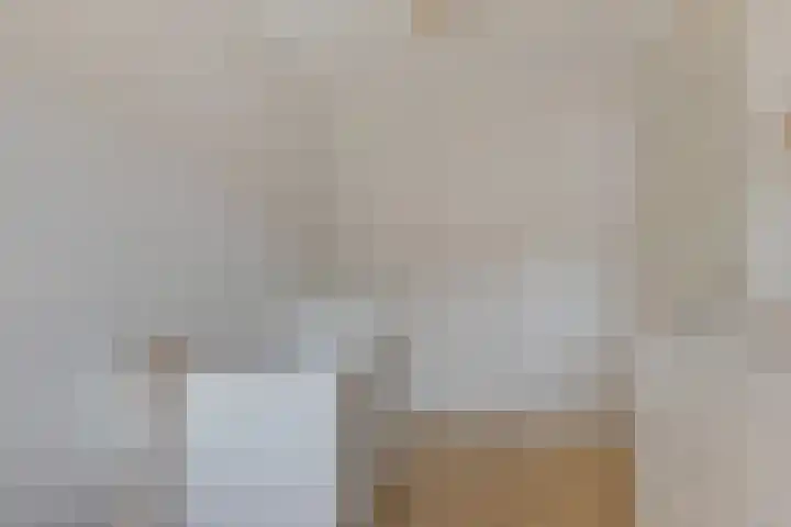 Pauwoog 16 Oss thumbnail 26