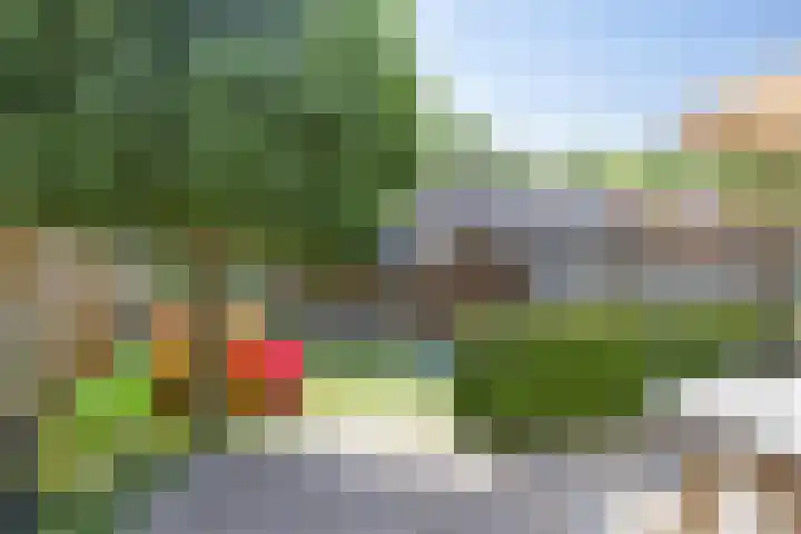 Pauwoog 16 Oss thumbnail 30