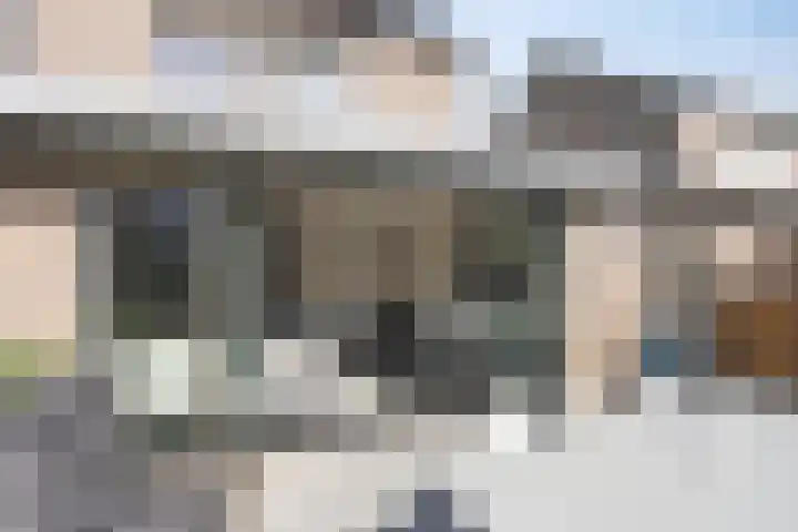 Pauwoog 16 Oss thumbnail 32