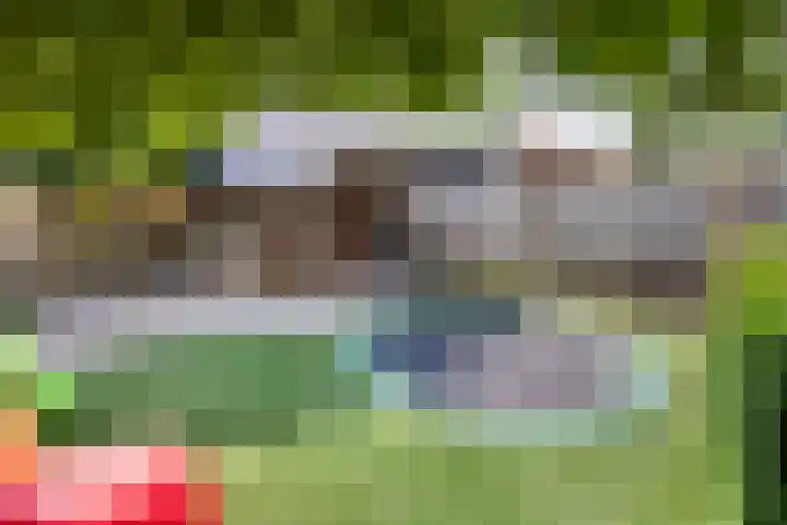 Pauwoog 16 Oss thumbnail 33