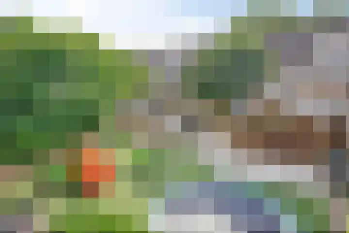 Pauwoog 16 Oss thumbnail 35
