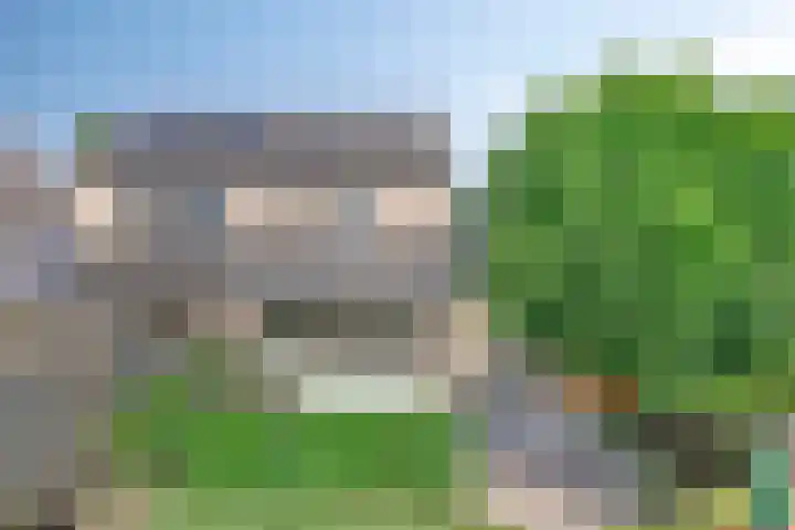Pauwoog 16 Oss thumbnail 36