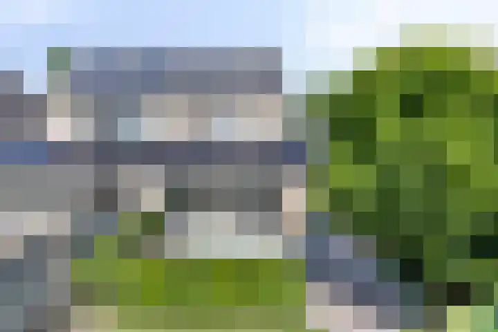 Pauwoog 16 Oss thumbnail 37