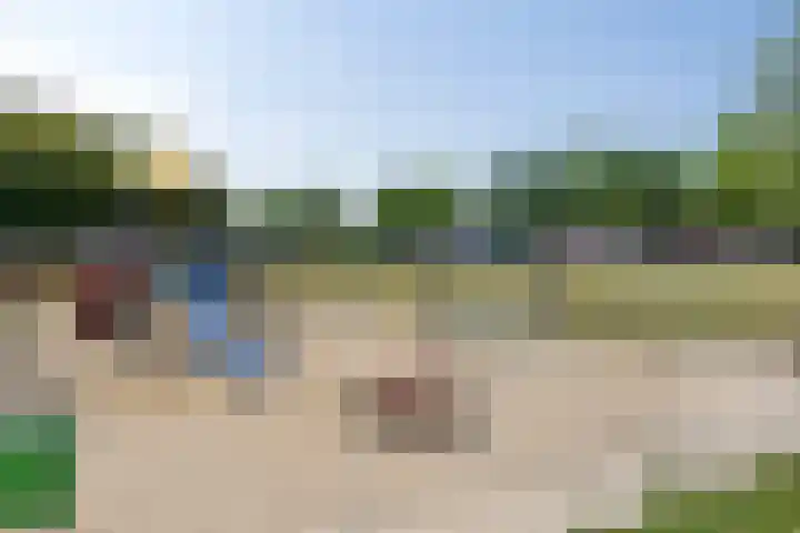 Pauwoog 16 Oss thumbnail 38