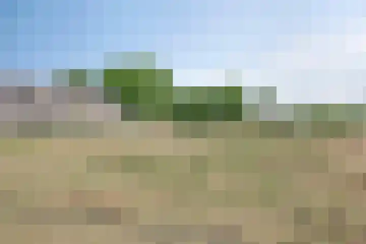 Pauwoog 16 Oss thumbnail 39