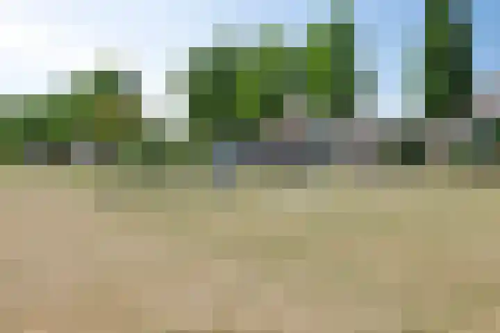 Pauwoog 16 Oss thumbnail 40
