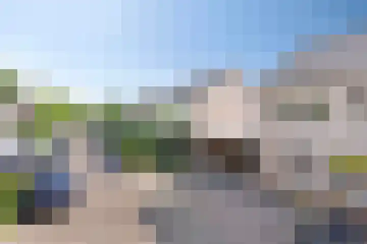 Pauwoog 16 Oss thumbnail 42