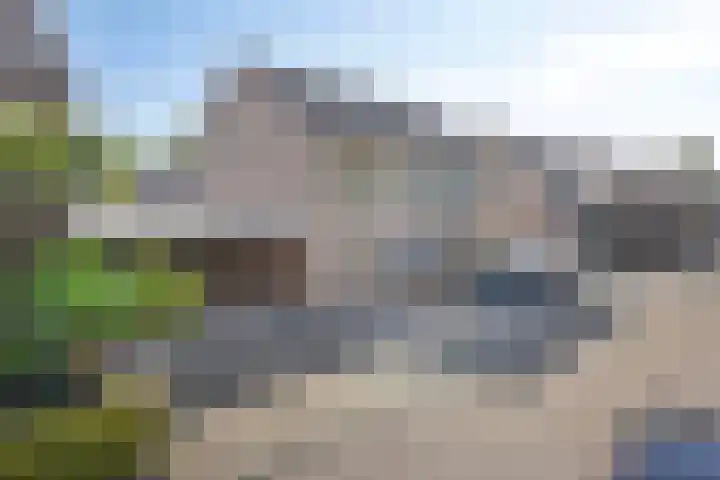 Pauwoog 16 Oss thumbnail 43