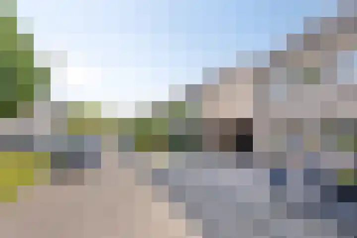 Pauwoog 16 Oss thumbnail 44