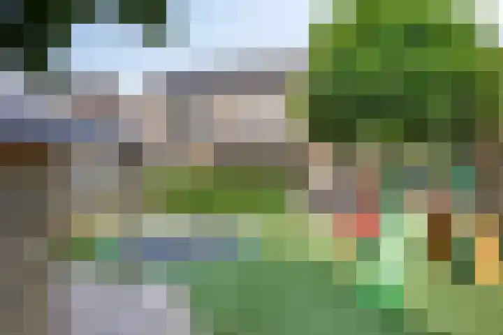 Pauwoog 16 Oss thumbnail 5