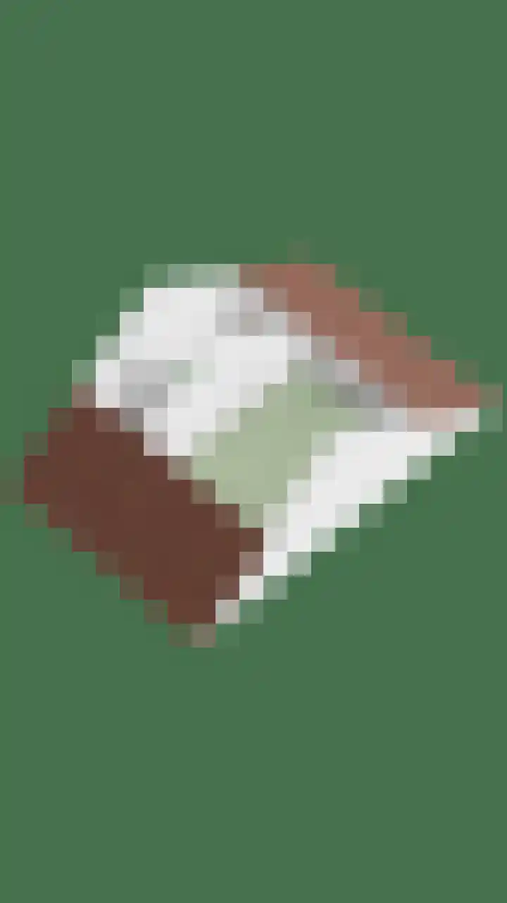 Pauwoog 16 Oss thumbnail 52