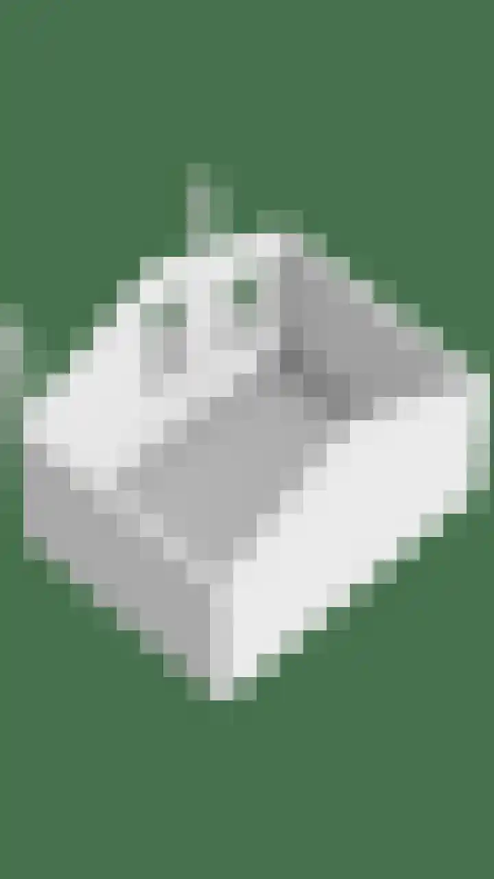 Pauwoog 16 Oss thumbnail 54