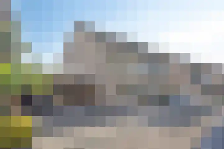 Pauwoog 16 Oss thumbnail 6