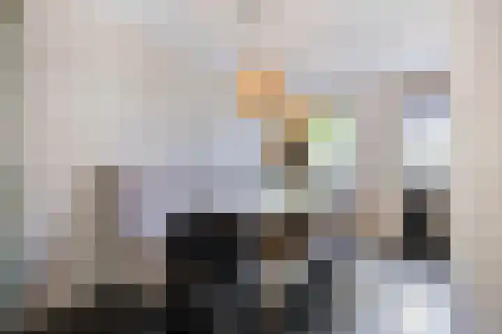 Pauwoog 16 Oss thumbnail 9