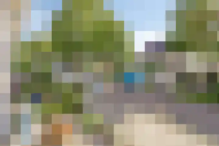Pauwoog 19 Zeewolde thumbnail 20