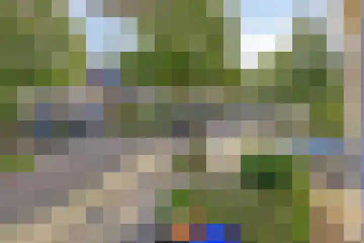Pauwoog 19 Zeewolde thumbnail 21