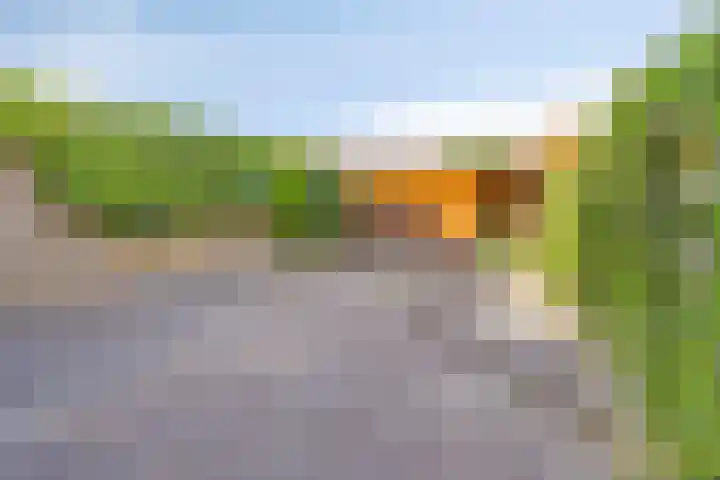 Pauwoog 19 Zeewolde thumbnail 33