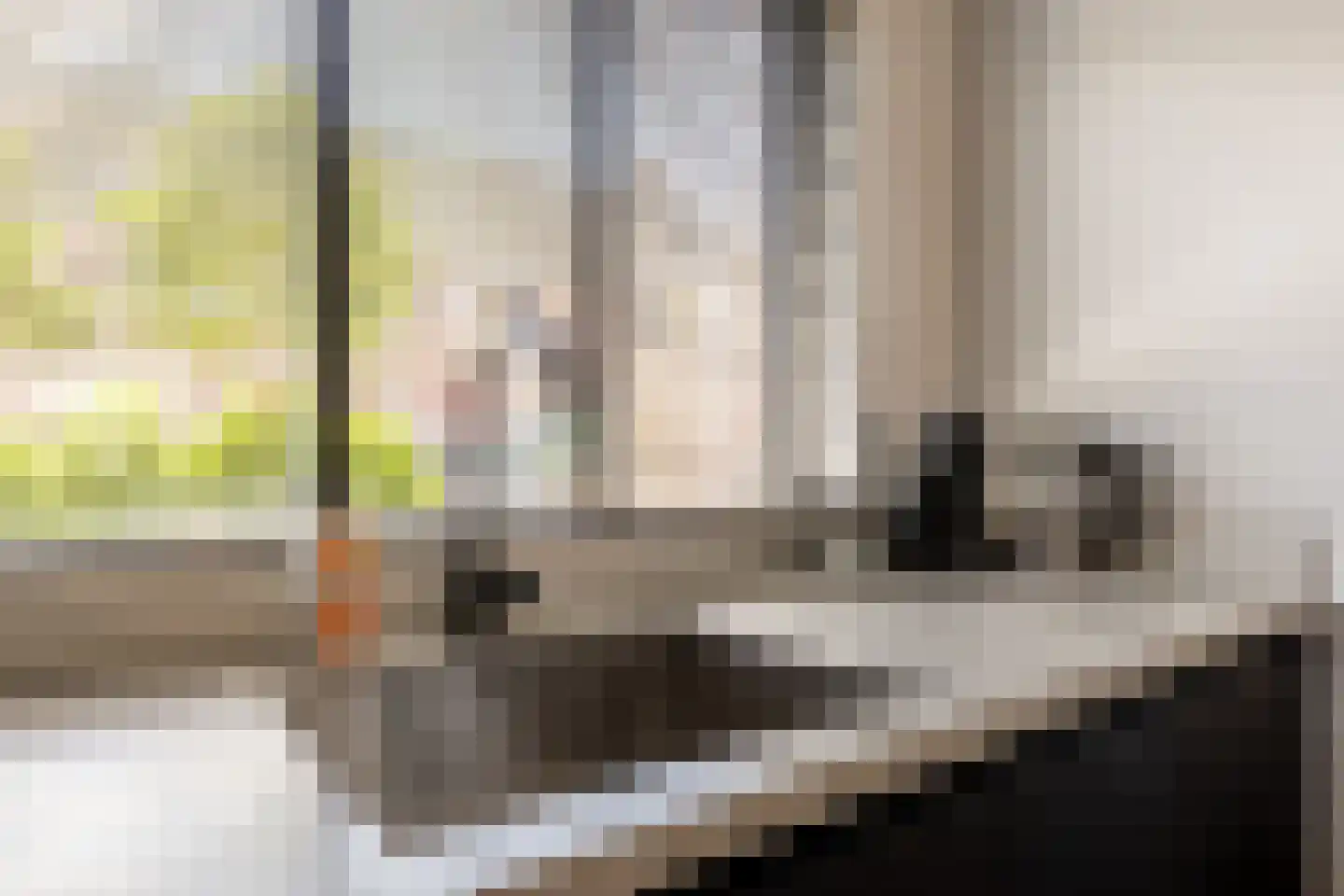 Pauwoog 2 Hellevoetsluis thumbnail 16
