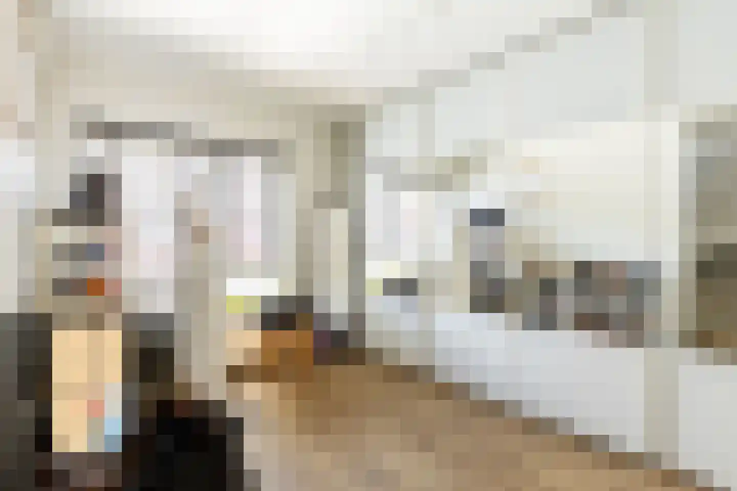 Pauwoog 2 Hellevoetsluis thumbnail 22