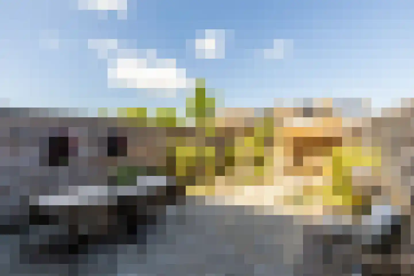 Pauwoog 2 Hellevoetsluis thumbnail 32