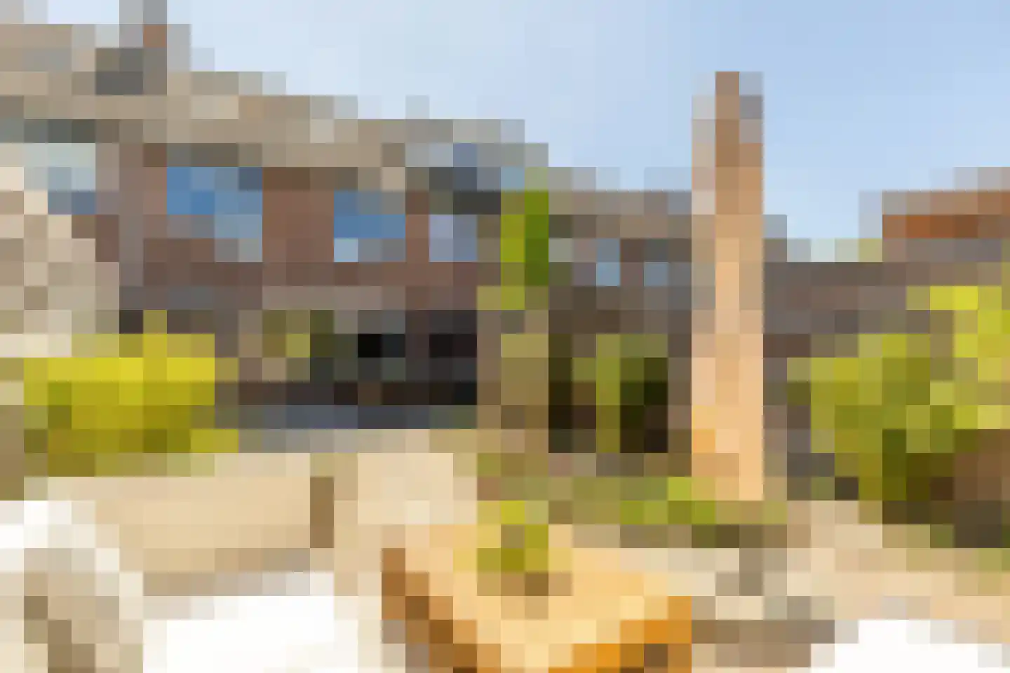 Pauwoog 2 Hellevoetsluis thumbnail 36