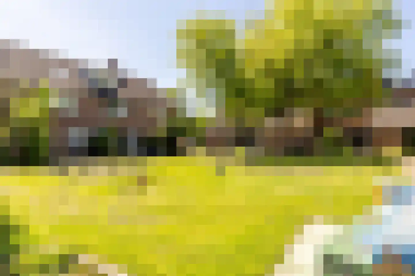 Pauwoog 2 Hellevoetsluis thumbnail 40