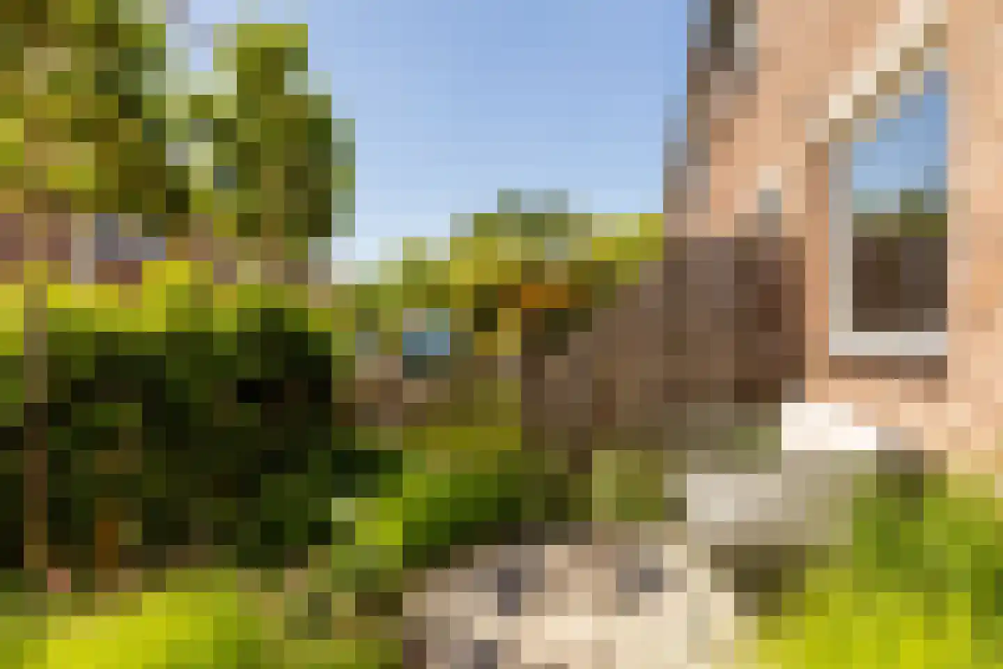 Pauwoog 2 Hellevoetsluis thumbnail 6