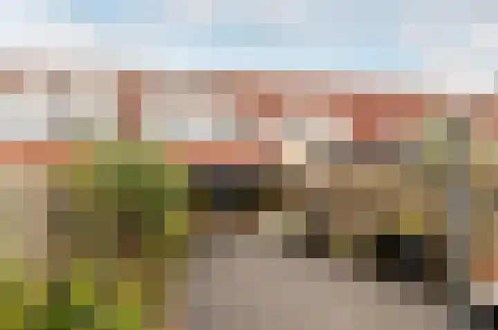 Pauwoog 27 Zeewolde thumbnail 36