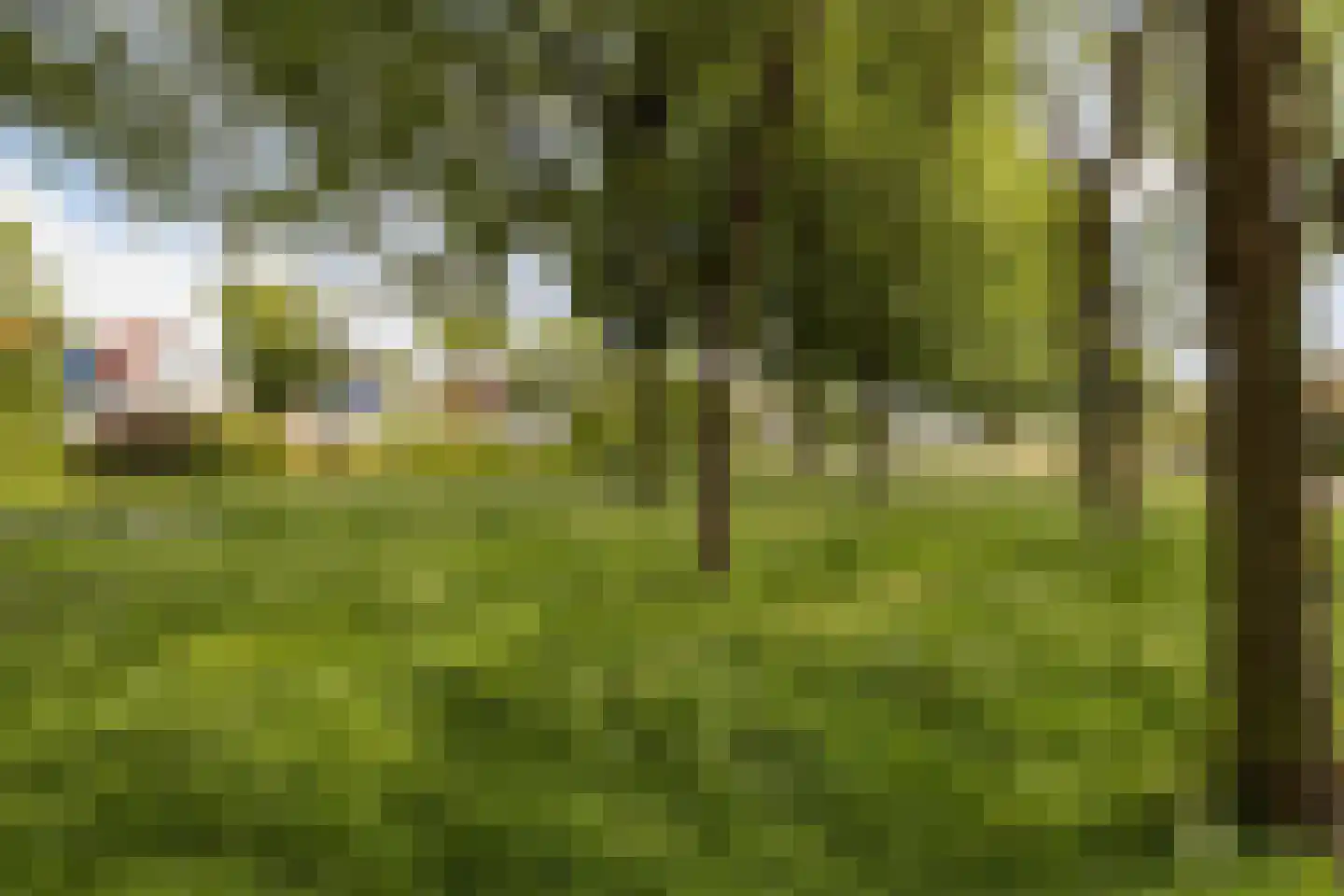 Pauwoog 43 Zeewolde thumbnail 36